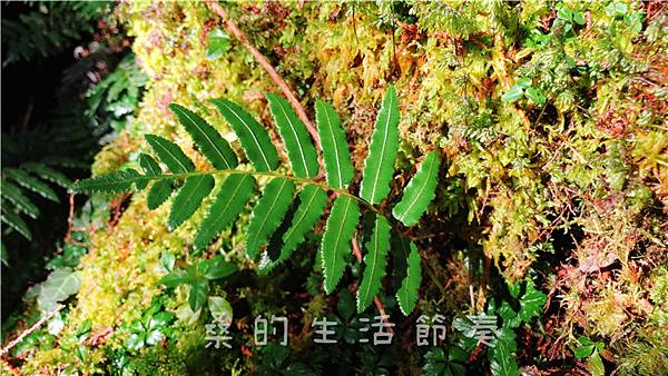 IMG_6864-1.jpg IMG_6864-1.jpg