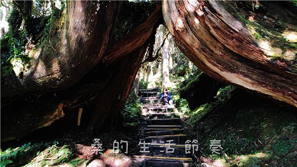 IMG_6886.jpg IMG_6886.jpg