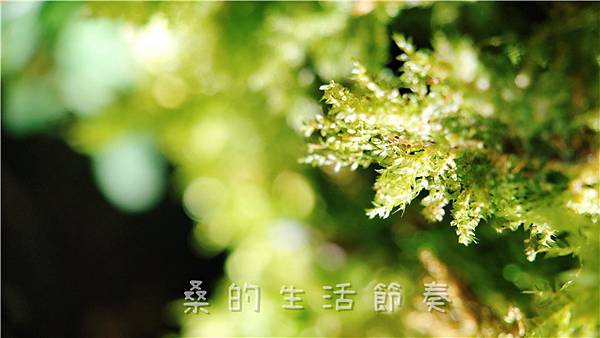 IMG_6894-1.jpg IMG_6894-1.jpg