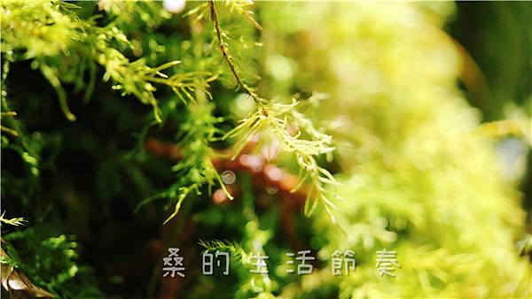 IMG_6901.jpg IMG_6901.jpg