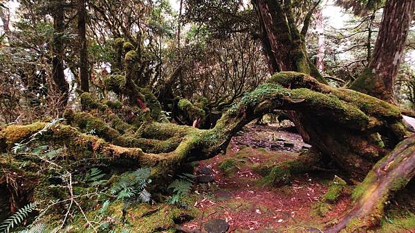 IMG_6685.JPG IMG_6685.JPG