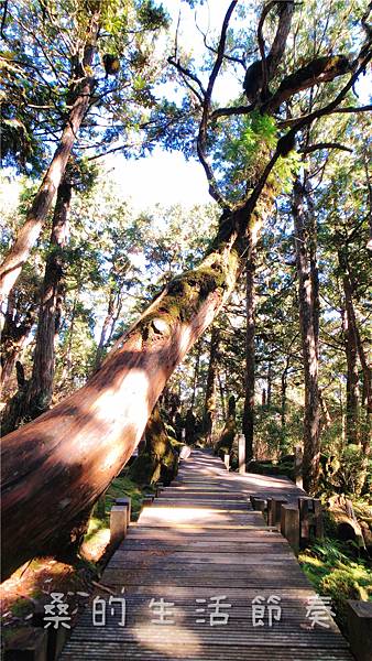 IMG_6874-1.jpg IMG_6874-1.jpg