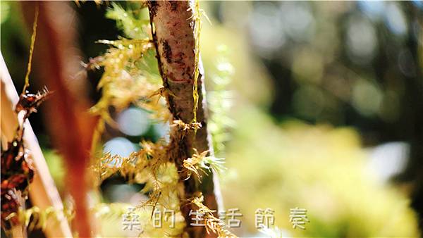 IMG_6900.jpg IMG_6900.jpg