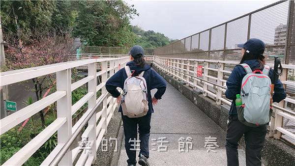 IMG_1833.jpg IMG_1833.jpg