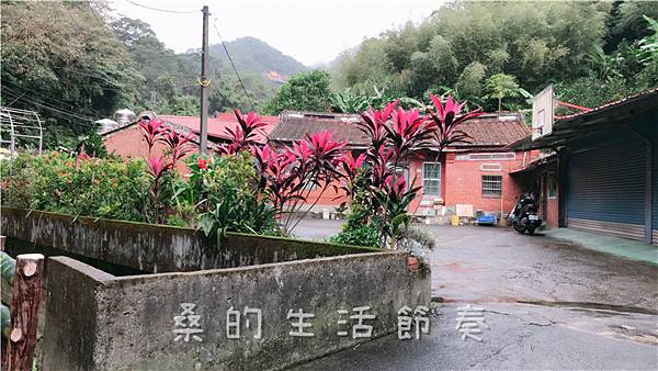 IMG_1841.jpg IMG_1841.jpg