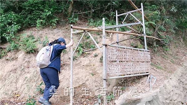 IMG_1847.jpg IMG_1847.jpg