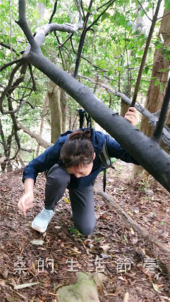 IMG_1853.jpg IMG_1853.jpg