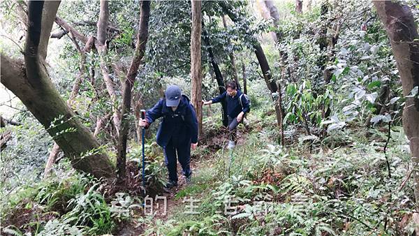 IMG_1863.jpg IMG_1863.jpg