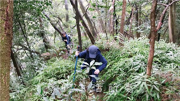 IMG_1860.jpg IMG_1860.jpg