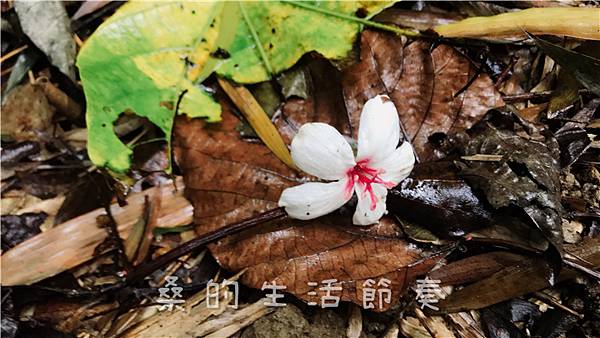 IMG_1880.jpg IMG_1880.jpg