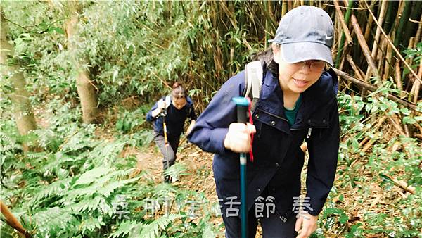 IMG_1882.jpg IMG_1882.jpg