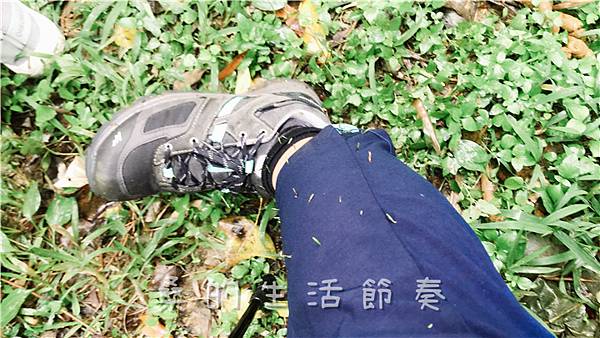 IMG_1886.jpg IMG_1886.jpg