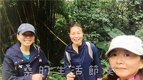 IMG_1885.jpg IMG_1885.jpg