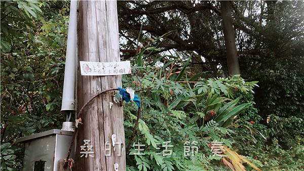 IMG_1896.jpg IMG_1896.jpg