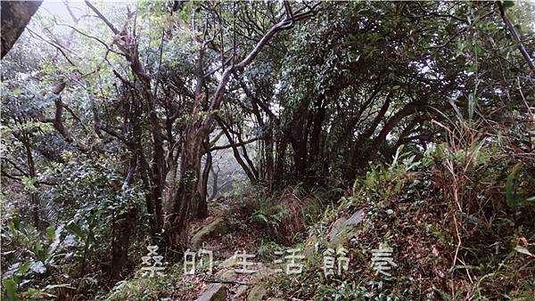 IMG_1901.jpg IMG_1901.jpg