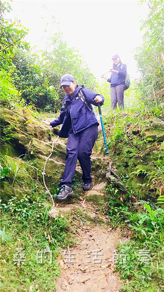 IMG_1906.jpg IMG_1906.jpg