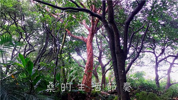 IMG_1907.jpg IMG_1907.jpg