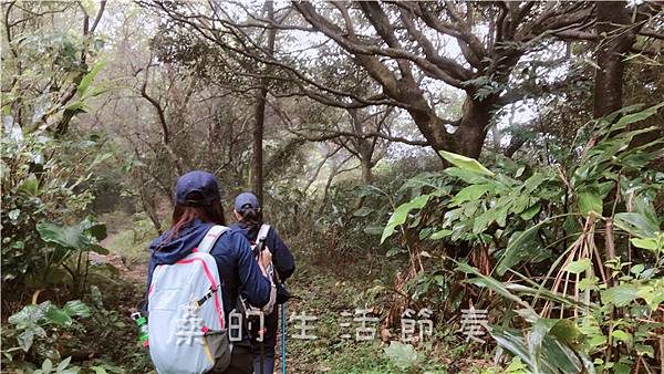 IMG_1903.jpg IMG_1903.jpg