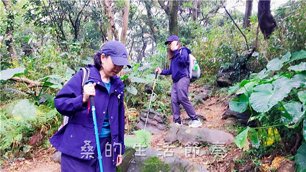 IMG_1918.jpg IMG_1918.jpg