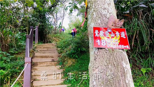 IMG_1922.jpg IMG_1922.jpg