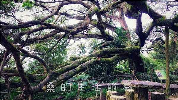 IMG_1927.jpg IMG_1927.jpg