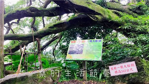 IMG_1928.jpg IMG_1928.jpg