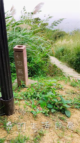 IMG_1931.jpg IMG_1931.jpg