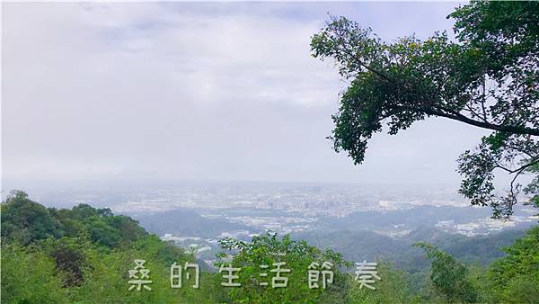 IMG_1929.jpg IMG_1929.jpg