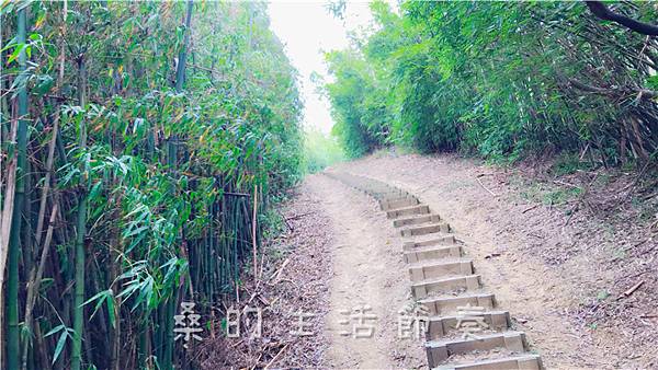 IMG_1934.jpg IMG_1934.jpg