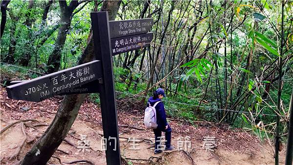 IMG_1939.jpg IMG_1939.jpg