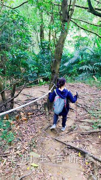 IMG_1942.jpg IMG_1942.jpg