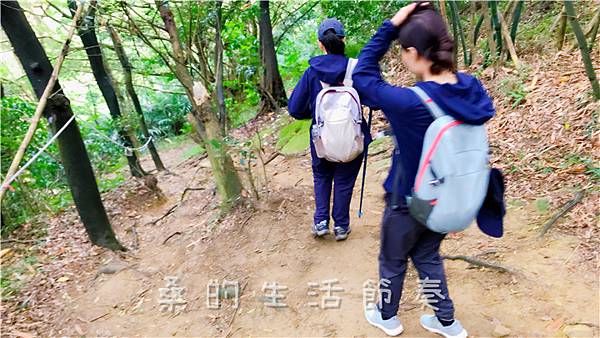 IMG_1940.jpg IMG_1940.jpg