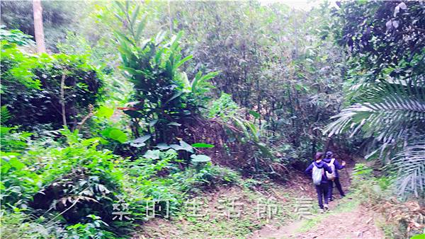 IMG_1946.jpg IMG_1946.jpg