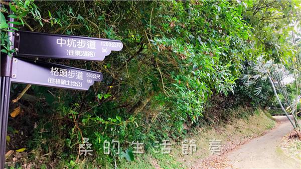 IMG_1951.jpg IMG_1951.jpg