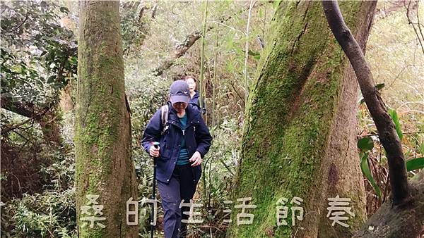 IMG_1873.jpg IMG_1873.jpg