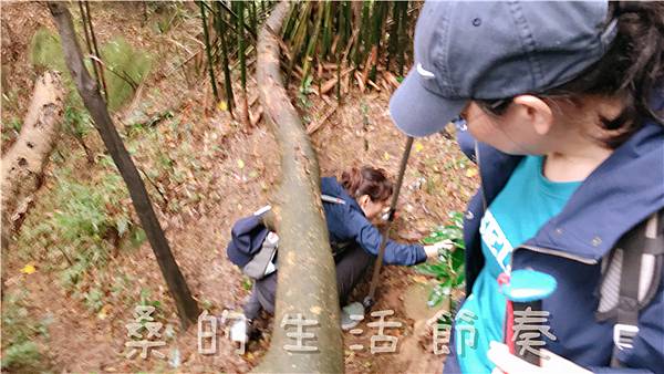 IMG_1870.jpg IMG_1870.jpg