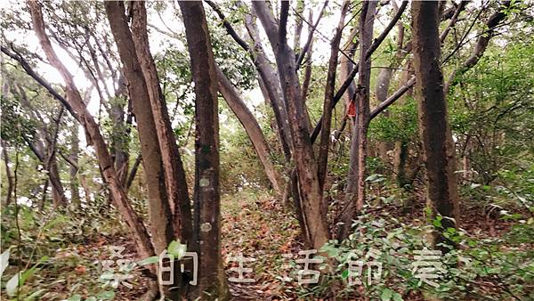 IMG_1865.jpg IMG_1865.jpg