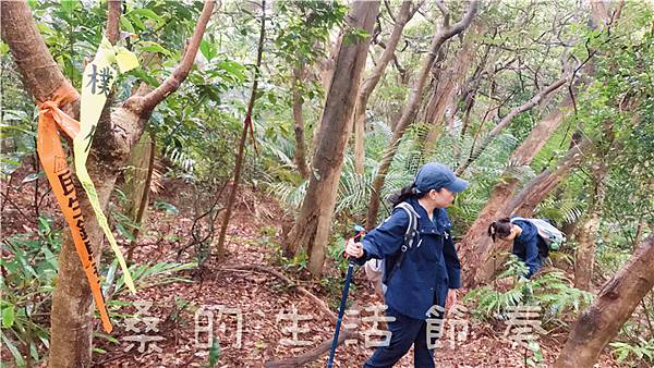 IMG_1876.jpg IMG_1876.jpg