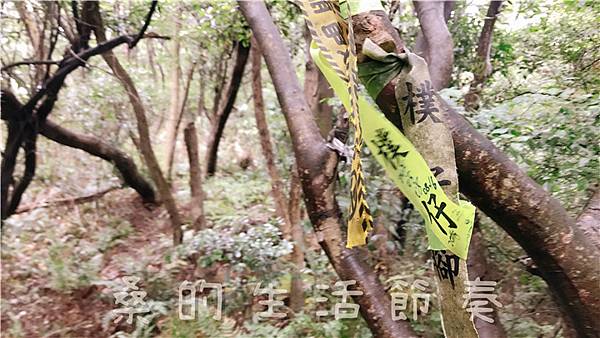 IMG_1864.jpg IMG_1864.jpg