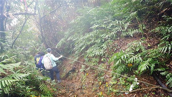 2021123 淡蘭古道 之 隆嶺古道_210203_33.jpg 2021123 淡蘭古道 之 隆嶺古道_210203_33.jpg