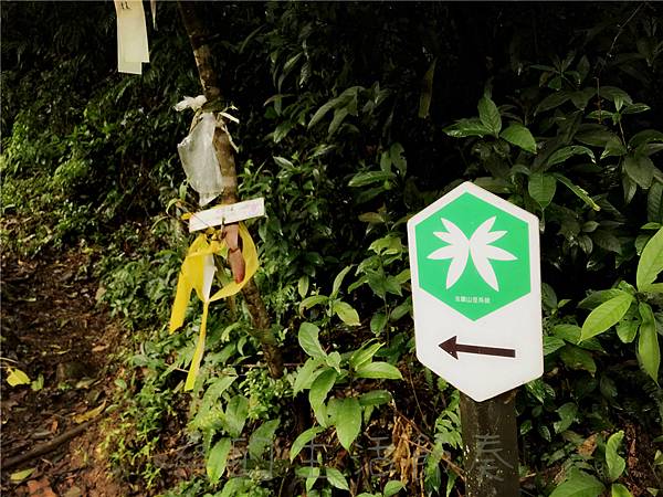 IMG_3912.jpg IMG_3912.jpg