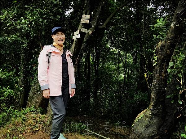 IMG_3907.jpg IMG_3907.jpg