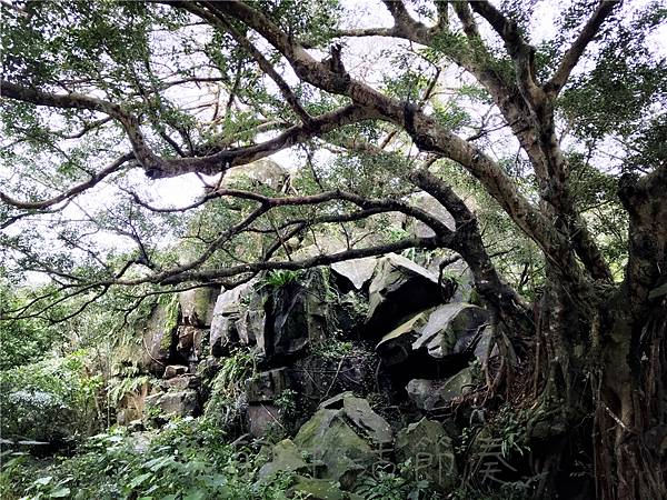 IMG_3895.jpg IMG_3895.jpg