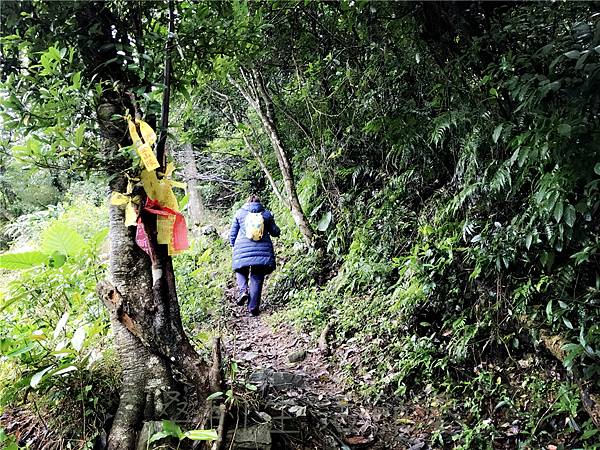 IMG_3917.jpg IMG_3917.jpg