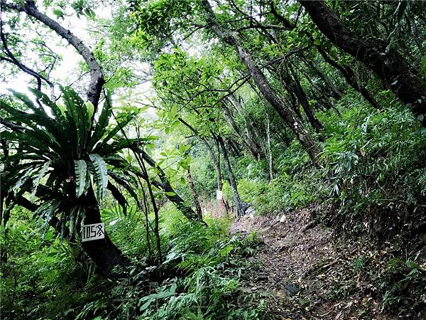 IMG_3927.jpg IMG_3927.jpg