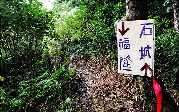 IMG_3929.jpg IMG_3929.jpg