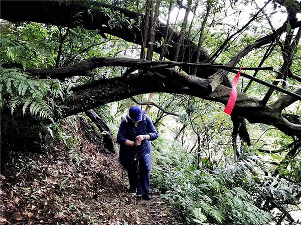 IMG_3923.jpg IMG_3923.jpg