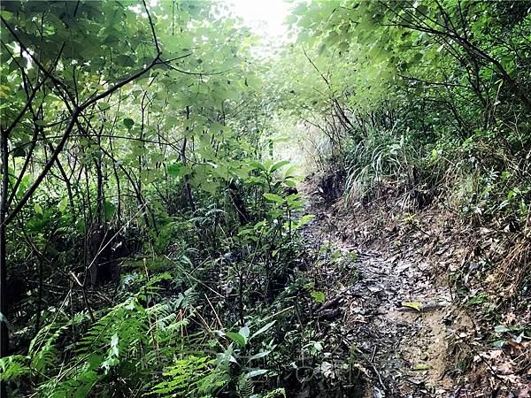 IMG_3930.jpg IMG_3930.jpg