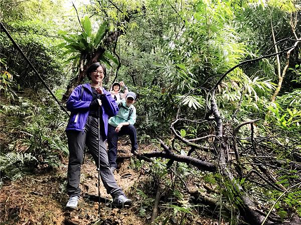 IMG_3978.jpg IMG_3978.jpg