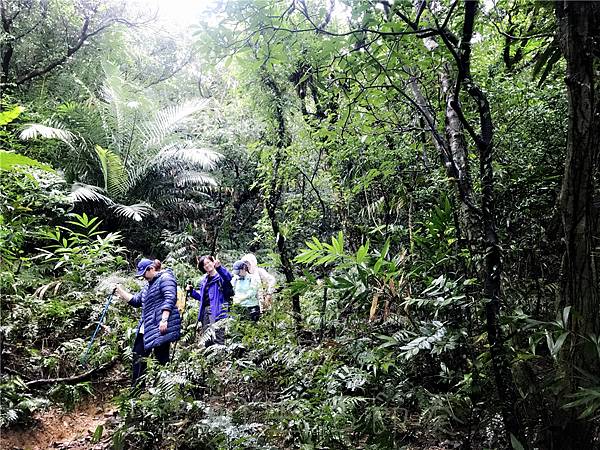 IMG_3965.jpg IMG_3965.jpg